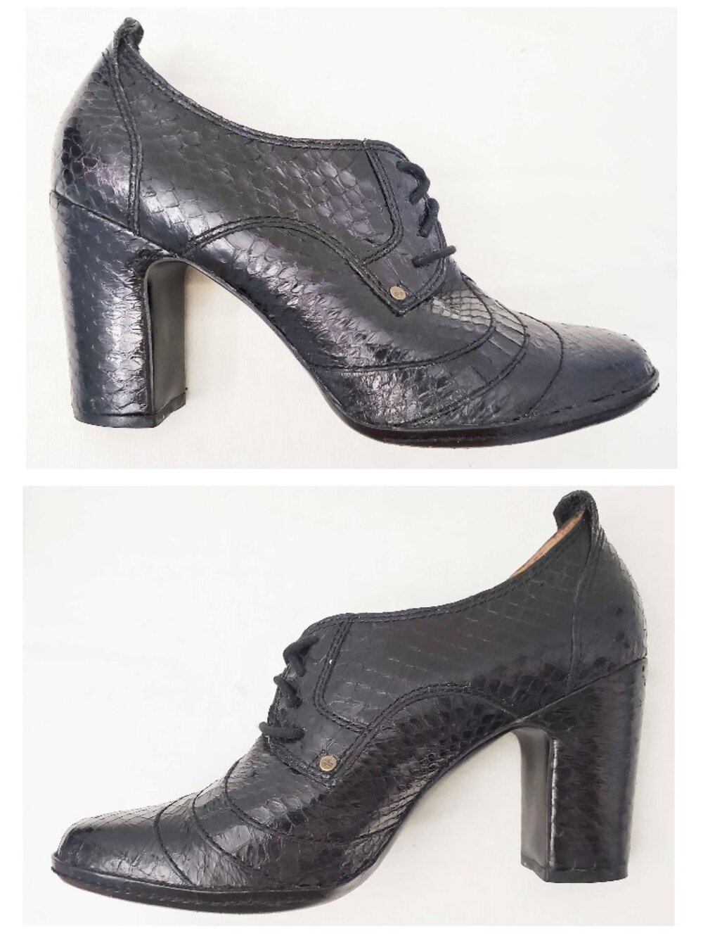 Frye Women's Adrienne Heeled Oxford Shoes Black Snakeskin Leather 8 M